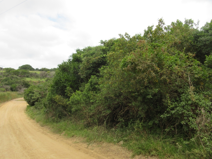 0 Bedroom Property for Sale in Bathurst Eastern Cape